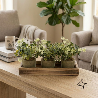 Trio Greenery Planter Set with Wooden Tray