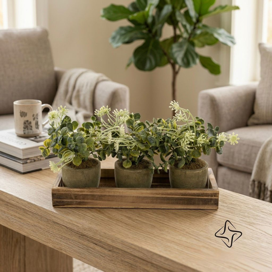 Trio Greenery Planter Set with Wooden Tray