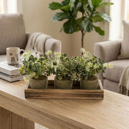 Trio Greenery Planter Set with Wooden Tray
